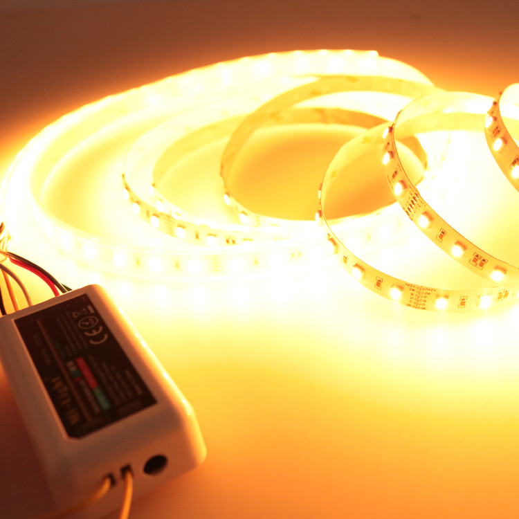 Detalle de tira de LED RGB blanco cálido blanco frío